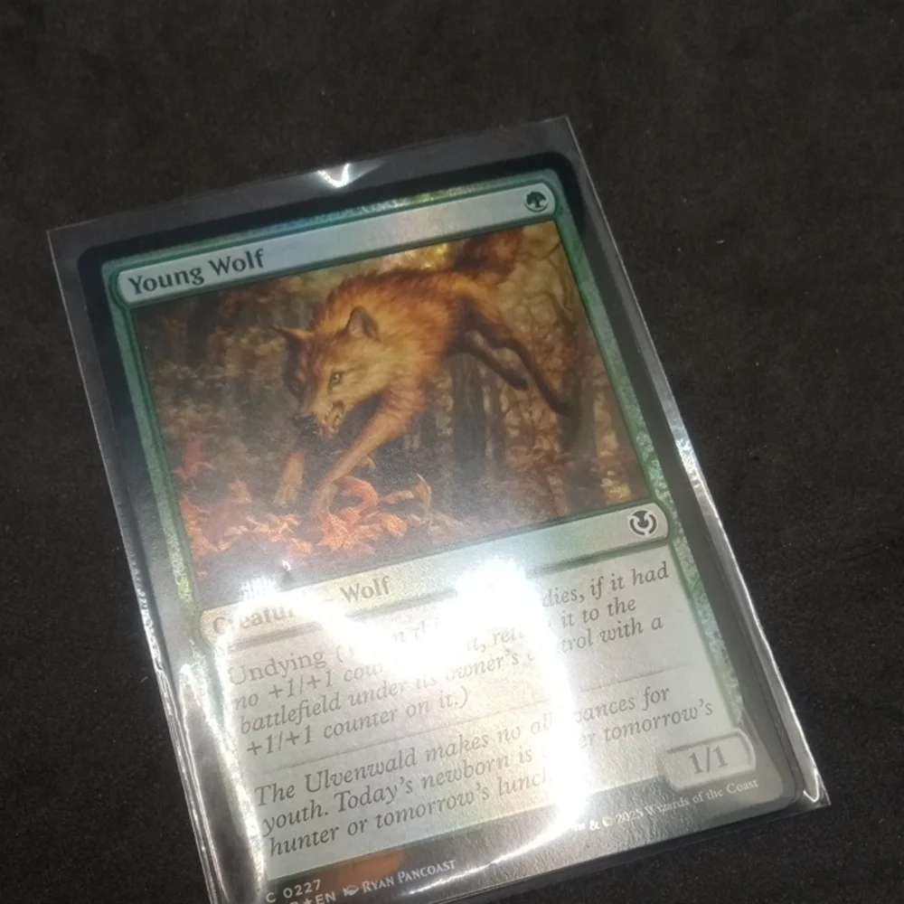 Magic: The Gathering 2 Young Wolf Cards